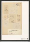 Dictyocha sp. (de-Toni-Nr.: Genus 262) Zeichnungen Sammlung Grunow (NHMW-BOT-W0379695)